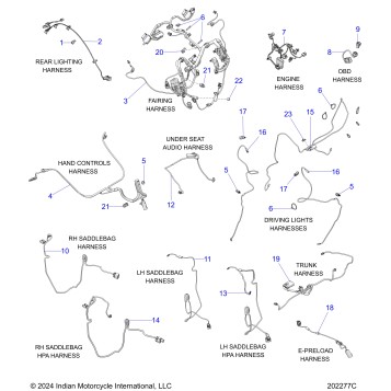 ELECTRICAL, WIRE HARNESS 2 - N25LGLSS ALL OPTIONS (202277C)