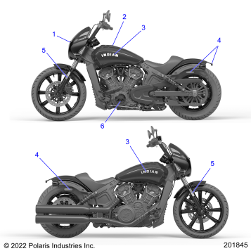 BODY, EMBLEMS/DECALS - N24MTC11/MTD11 ALL OPTIONS (201845)