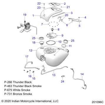 FUEL SYSTEM, FUEL TANK ASM. - N21TKDBB ALL OPTIONS (201096C)