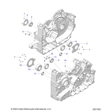 ENGINE, CRANKCASE BEARINGS - N20LCDRR ALL OPTIONS (202135C)