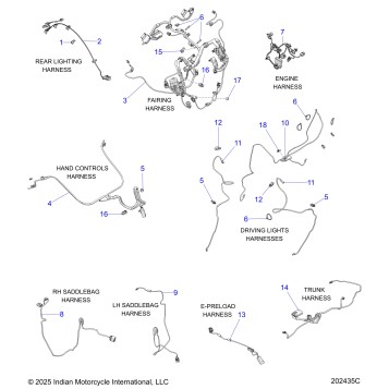 ELECTRICAL, WIRE HARNESS 2 - N26LG0RR ALL OPTIONS (202435C)