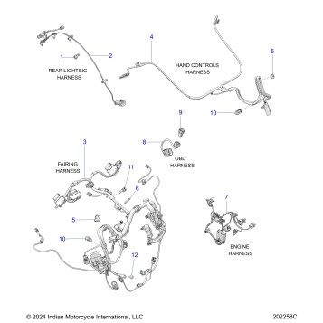 ELECTRICAL, WIRE HARNESS 2 - N25LFBRR ALL OPTIONS (202258C)