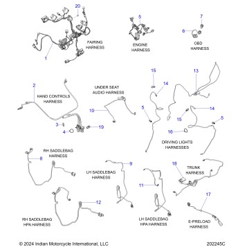 ELECTRICAL, WIRE HARNESS 2 - N25LDESS ALL OPTIONS (202245C)