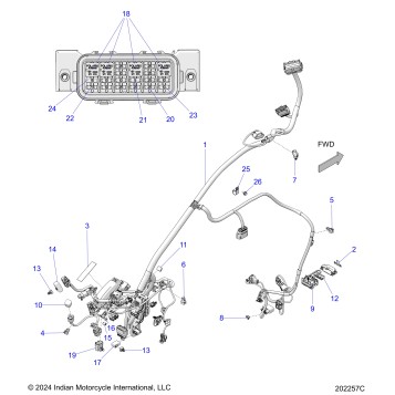 ELECTRICAL, WIRE HARNESS 1 - N26LFRRR ALL OPTIONS (202257C)