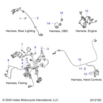 ELECTRICAL, WIRE HARNESS 2 - N21LCBRR ALL OPTIONS (201219C)