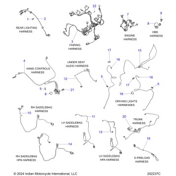ELECTRICAL, WIRE HARNESS 2 - N26LDVSS/LDXSS ALL OPTIONS (202237C)