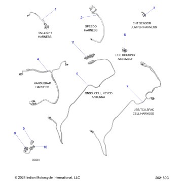 ELECTRICAL, WIRE HARNESS 2 - N25DSDBH/DSGBH ALL OPTIONS (202180C)