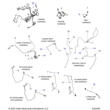 ELECTRICAL, WIRE HARNESS 2 - N25LCESS ALL OPTIONS (202226C)