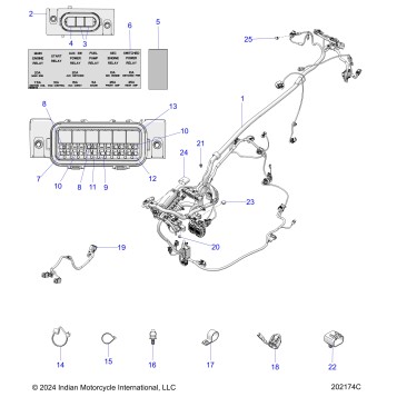 ELECTRICAL, WIRE HARNESS 1 - N25TREBB ALL OPTIONS (202174)