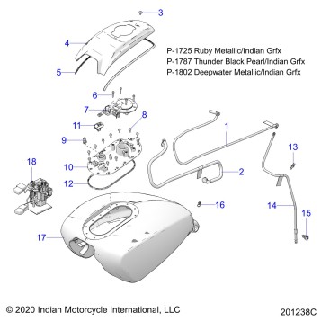 FUEL SYSTEM, FUEL TANK ASM. - N21LCARR ALL OPTIONS (201238C)