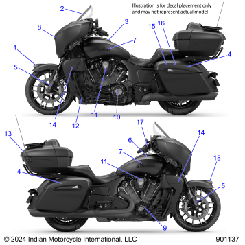 BODY, DECALS/EMBLEMS - N25LGDRR ALL OPTIONS (901137)