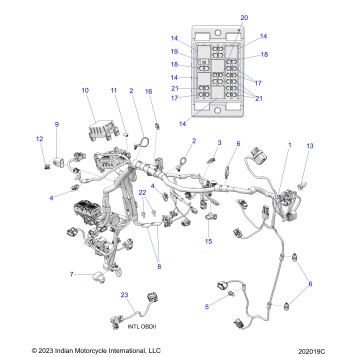 ELECTRICAL, WIRE HARNESS - N25SCB76/SCC76/SCD76/SCF76 ALL OPTIONS (202019C)