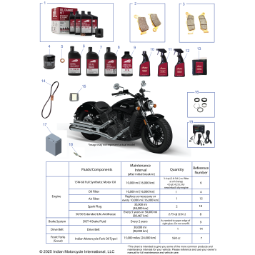 *SERVICE & MAINTENANCE - SCOUT 2022-2024*