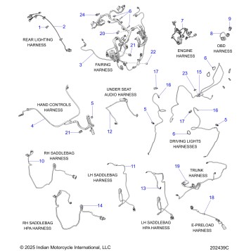 ELECTRICAL, WIRE HARNESS 2 - N26LG4SS/LG6SS ALL OPTIONS (202439C)