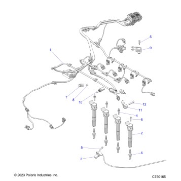 ELECTRICAL, WIRE HARNESS, ENGINE - Z25R4E2KA4/B4  (C750165)
