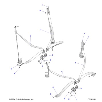 BODY, SEAT BELT MOUNTING - Z26NMX99A4/A6 (C750558)