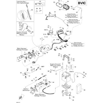 10- Electrical System BVIC