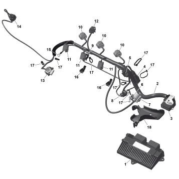 01- ROTAX - Engine Harness And Electronic Module
