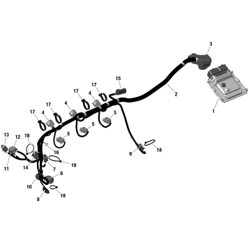 01- ROTAX - Engine Harness And Electronic Module