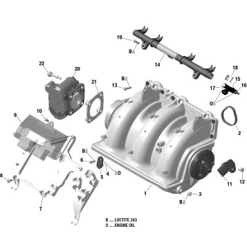 02- Air Intake Manifold And Throttle Body