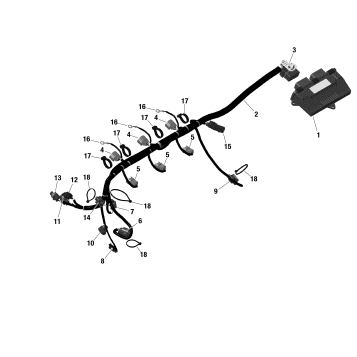 01- Rotax - Engine Harness And Electronic Module - Without IDF