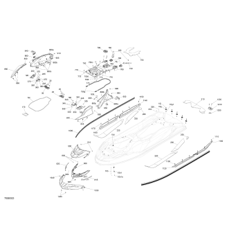 07- Body - System - International