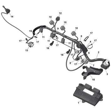 01- ROTAX - Engine Harness And Electronic Module