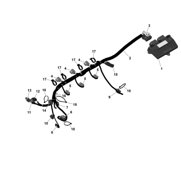 01- ROTAX - Engine Harness And Electronic Module