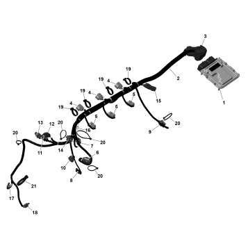 01- ROTAX - Engine Harness And Electronic Module
