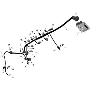 01- ROTAX - Engine Harness And Electronic Module