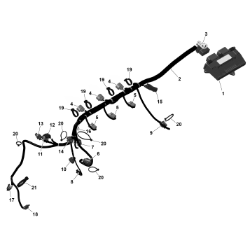 01- ROTAX - Engine Harness And Electronic Module