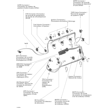 10- Engine Harness Rotax