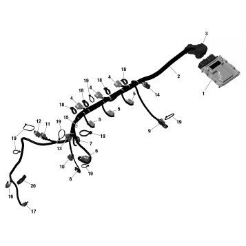 01- ROTAX - Engine Harness And Electronic Module