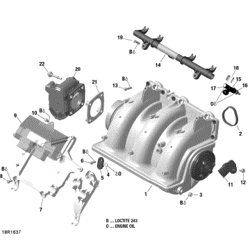 02- Air Intake Manifold And Throttle Body - 300