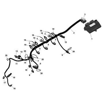 01- Rotax - Engine Harness And Electronic Module - With IDF