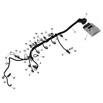 01- ROTAX - Engine Harness And Electronic Module