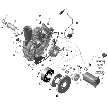 01- ROTAX - Magneto and Electric Starter - NO IDF