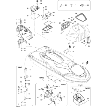 09- Body (Font View)