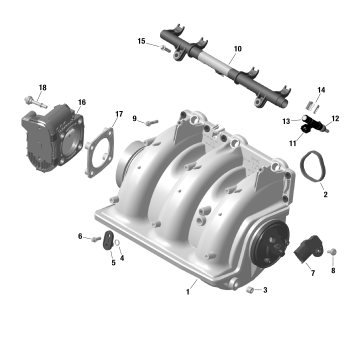 01- ROTAX - Air Intake Manifold And Throttle Body