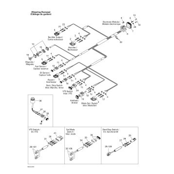 10- Electrical Harness And Accessories