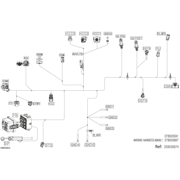 02- Electric - Main Harness - 278004245