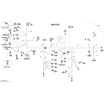 10- Electrical Harness 800R ETEC