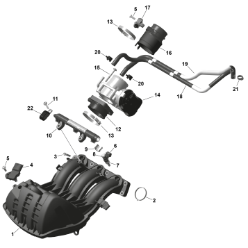 01- ROTAX - Air Intake Manifold And Throttle Body