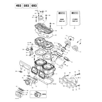 01- Cylinder, Exhaust Manifold, Reed Valve (493, 593, 693)