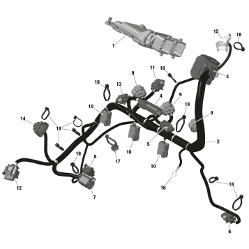 01- ROTAX - Engine Harness And Electronic Module