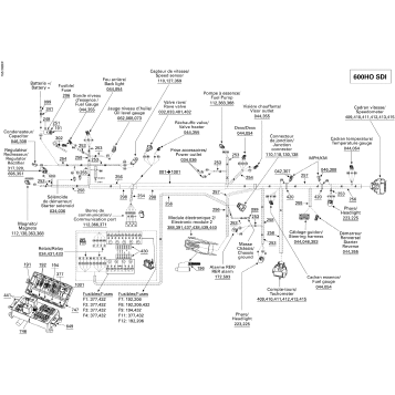 10- Electrical Harness 600HO SDI