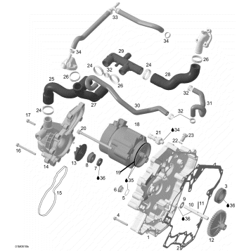 01- Waterpump, Alternator and Ignition Cover