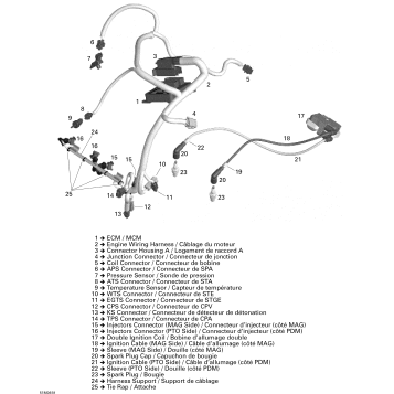 10- Engine Harness And Electronic Module