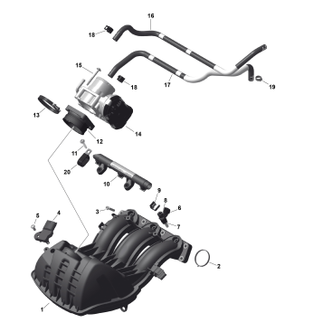 01- ROTAX - Air Intake Manifold And Throttle Body