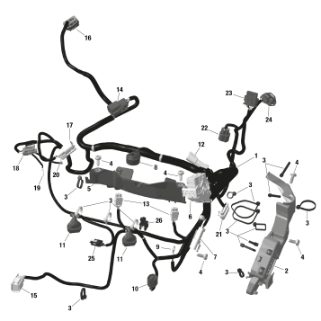 01- ROTAX - Engine Harness And Electronic Module - NA